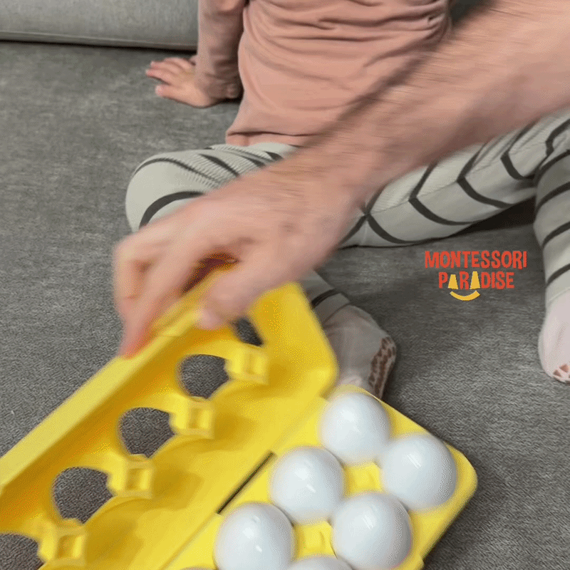 Montessori Egg Set