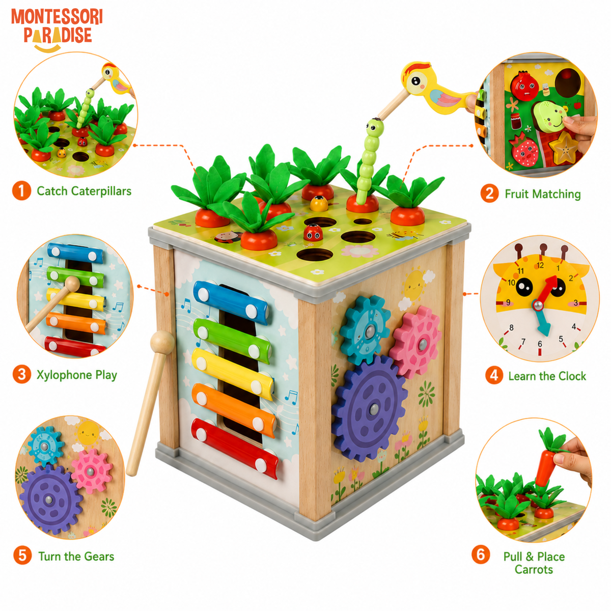 Montessori Discovery Box