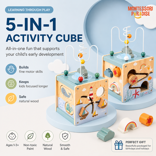 5 in 1  Activity Cube