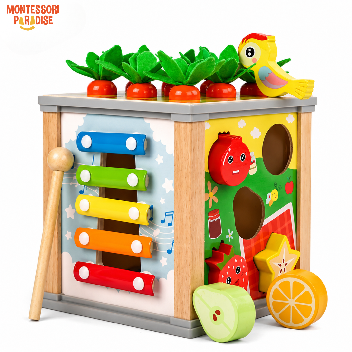 Montessori Discovery Box