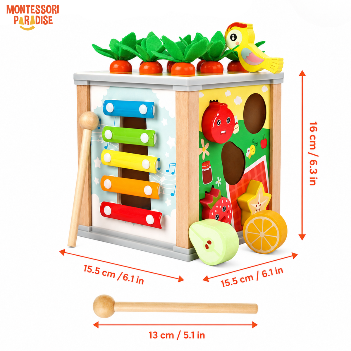 Montessori Discovery Box