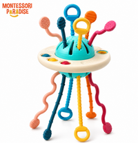 Montessori Sensory Pull Toy