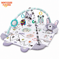 Montessori Play Gym for Babies