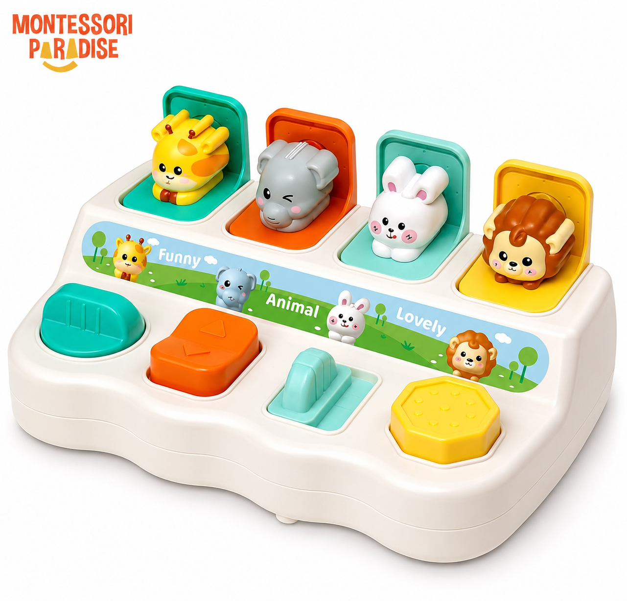 Montessori Discovery Toy
