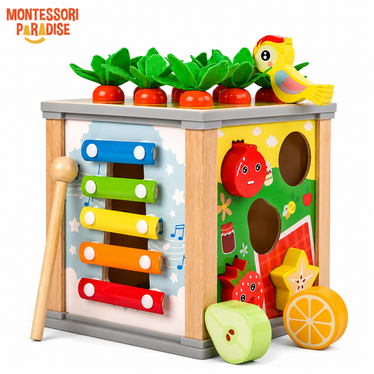 Montessori Discovery Box