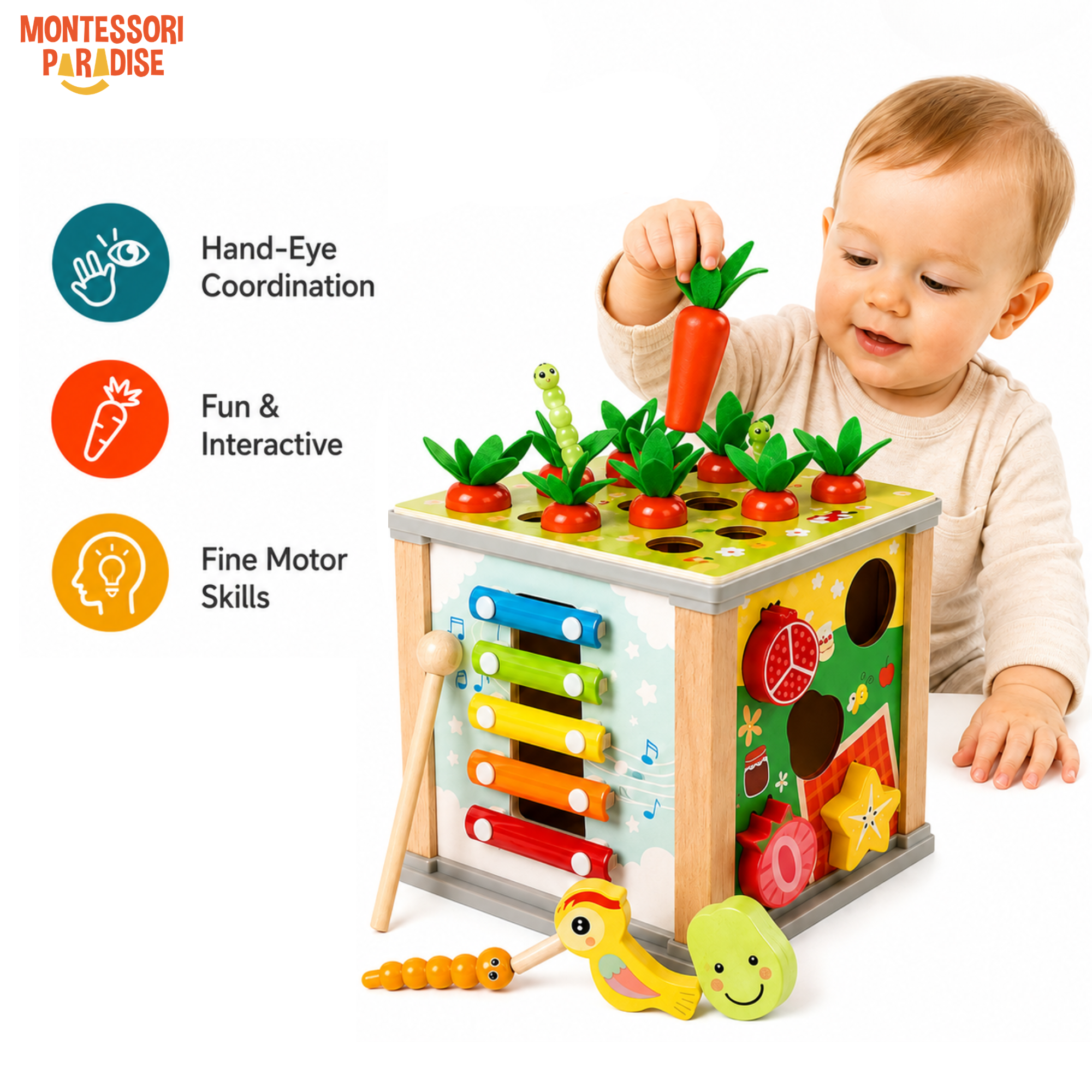 Montessori Discovery Box