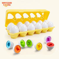 Montessori Egg Set