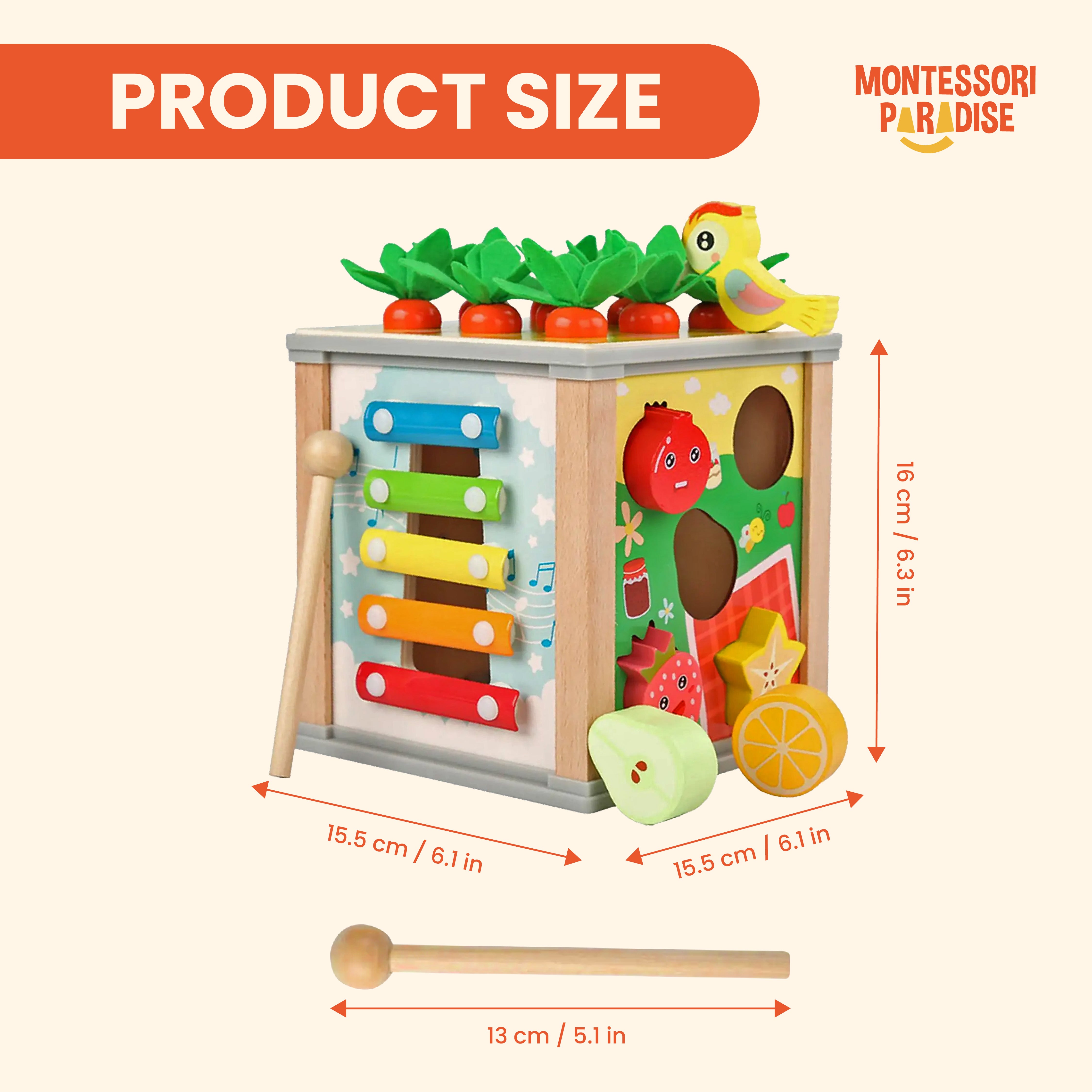 Montessori Discovery Box