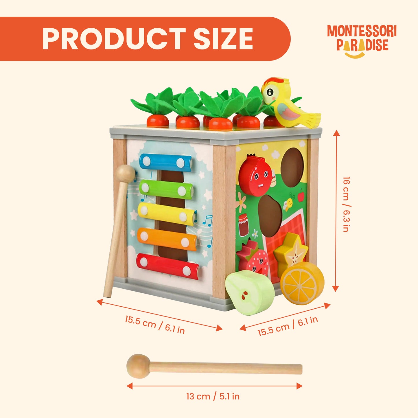 Montessori Discovery Box