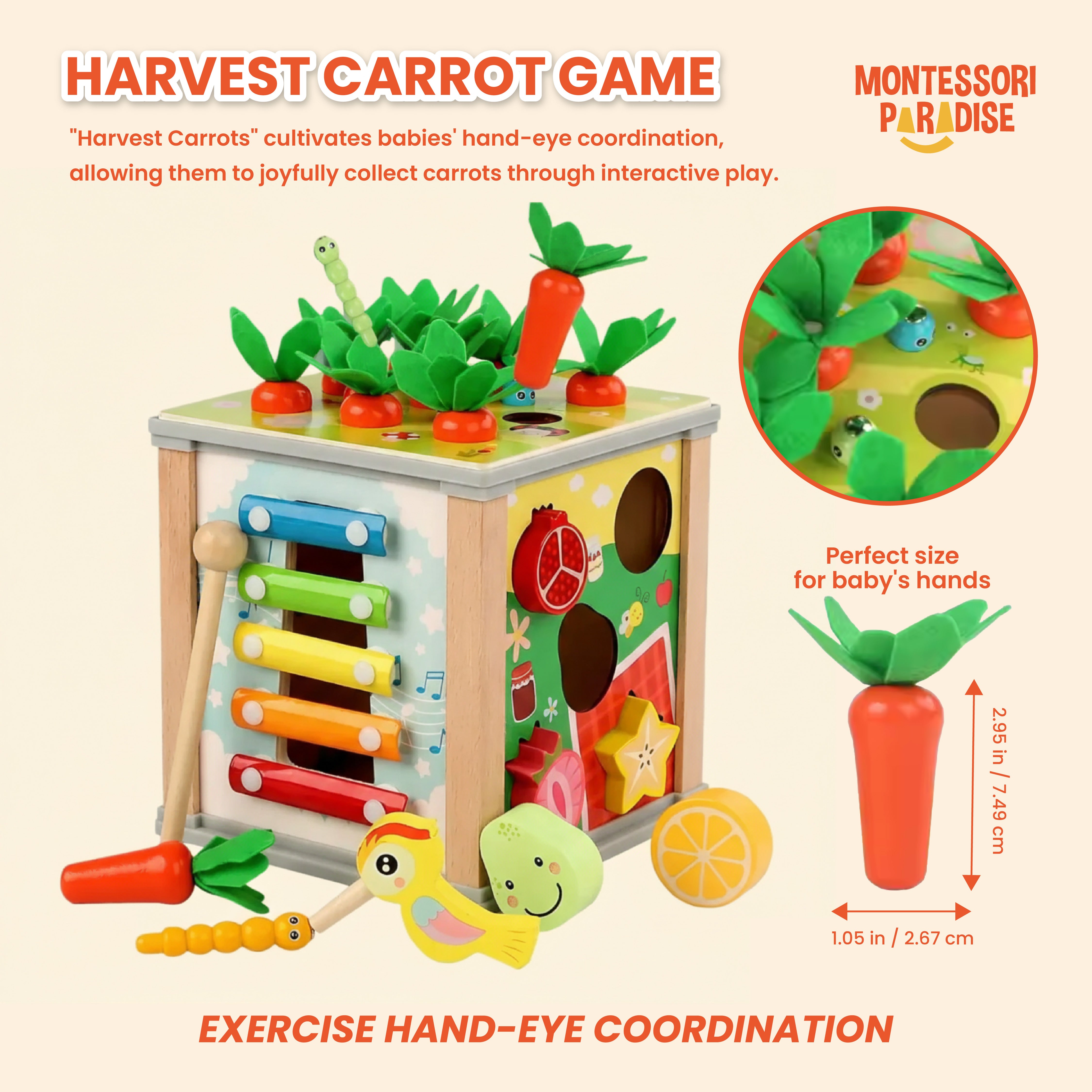 Montessori Discovery Box