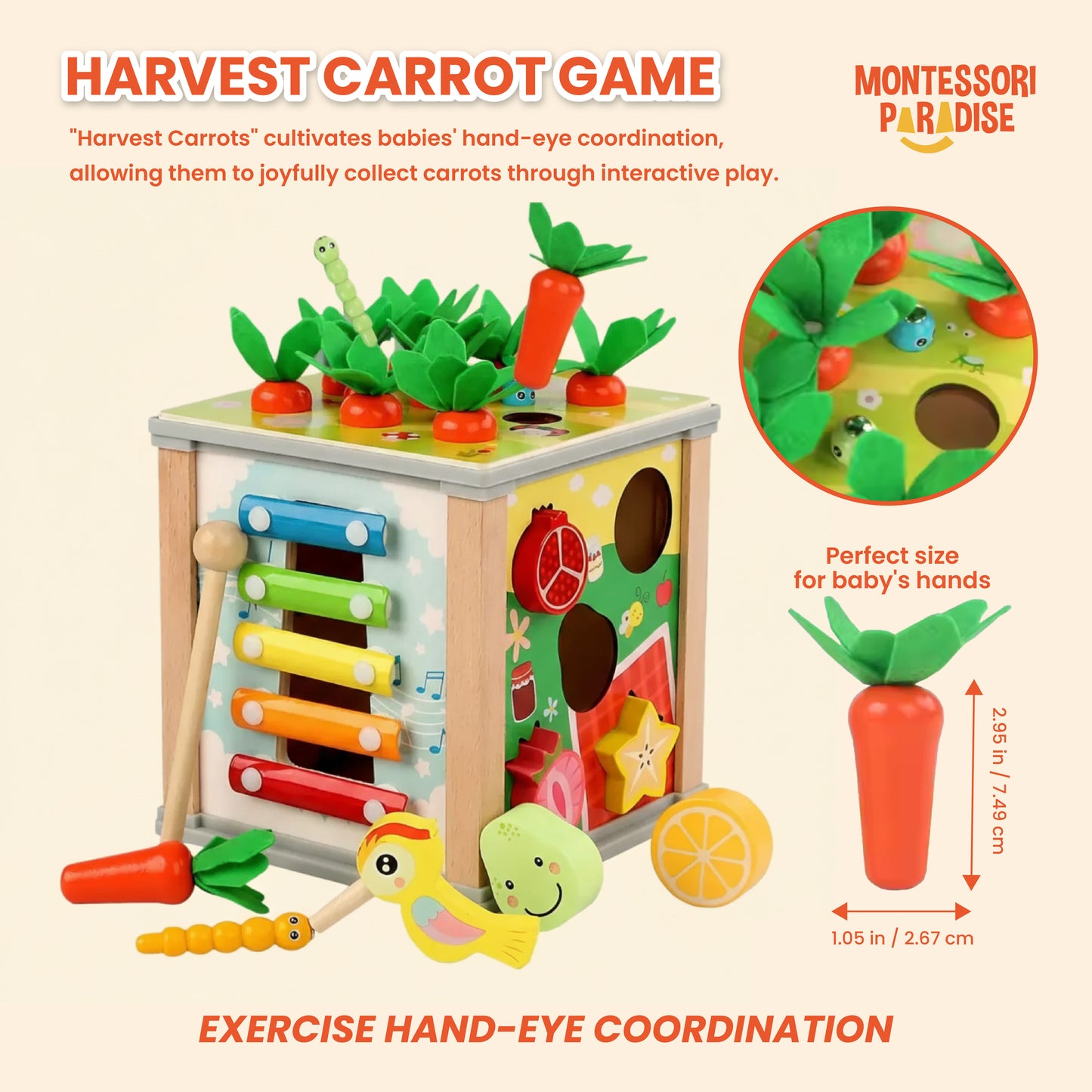 Montessori Discovery Box