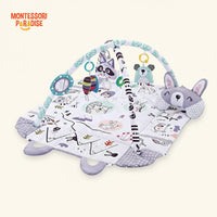 Montessori Play Gym for Babies