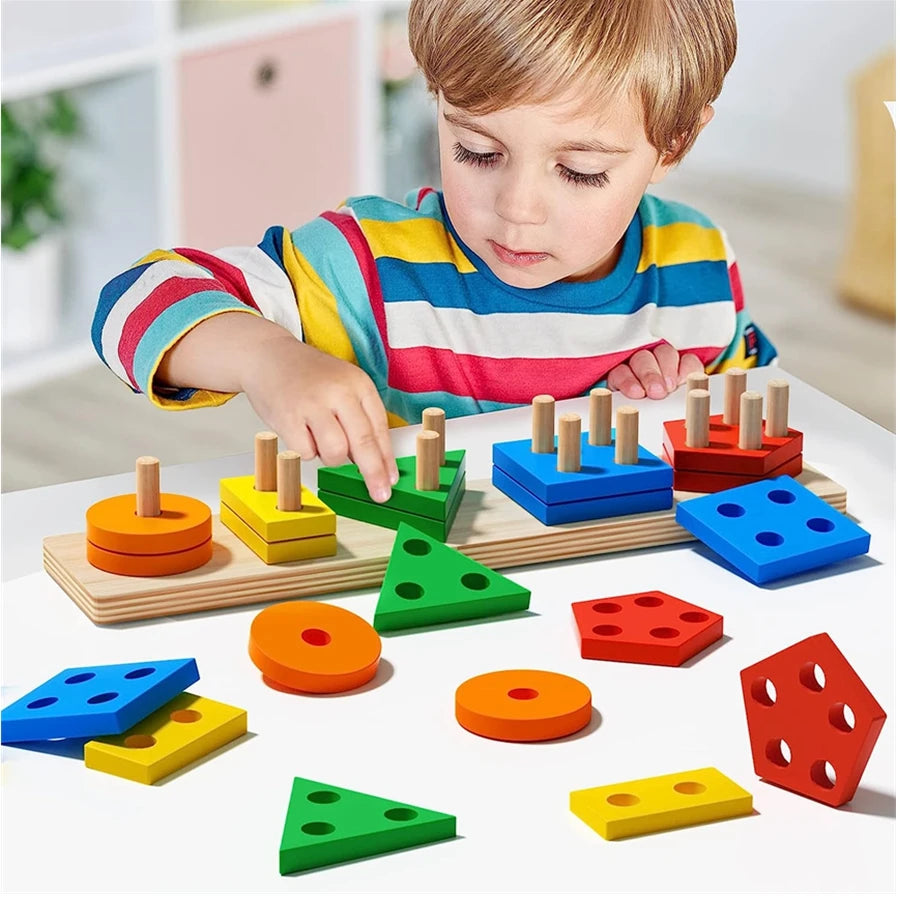 Montessori Wooden Sorting Puzzle