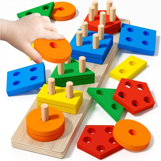 Montessori Wooden Sorting Puzzle