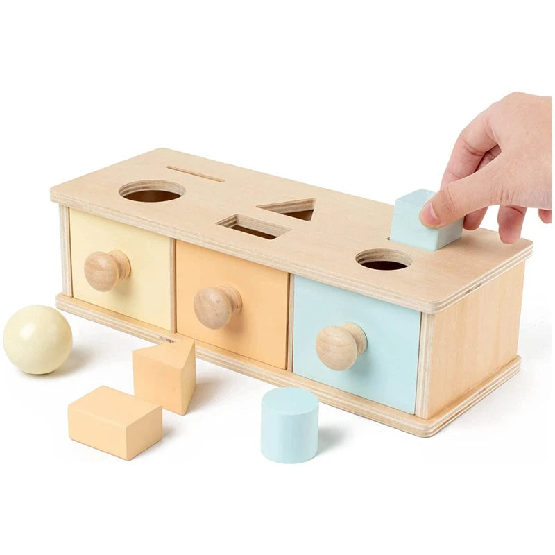 Montessori Wooden Learning Box