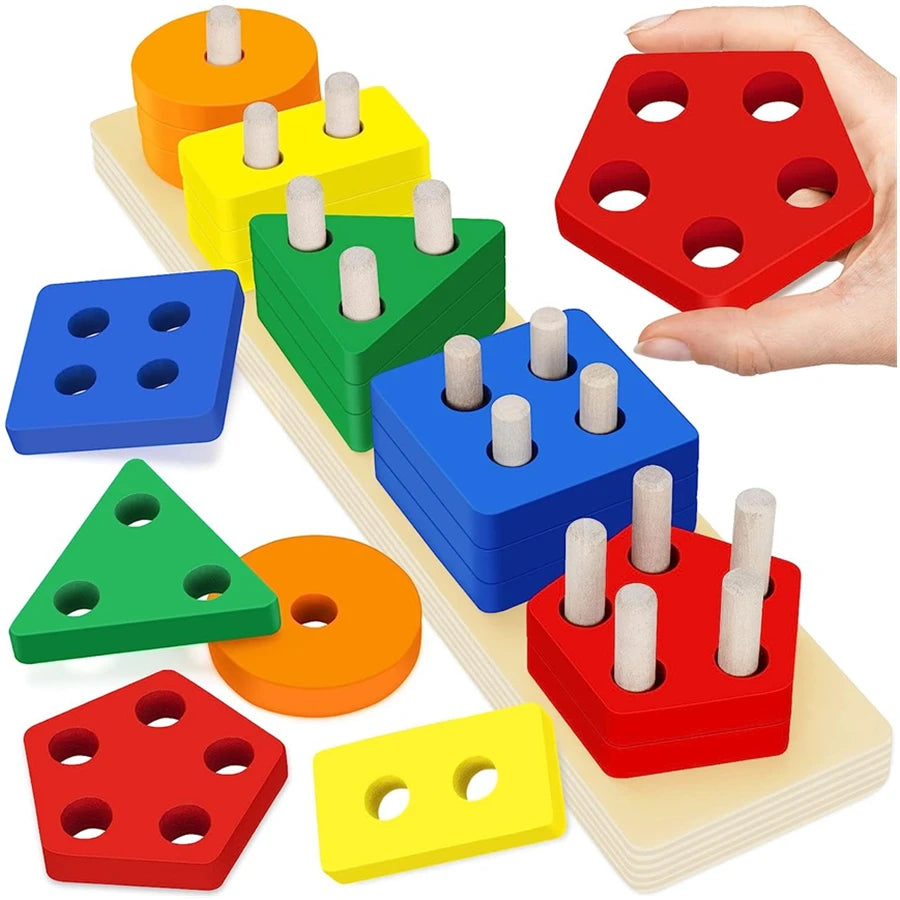 Montessori Wooden Sorting Puzzle