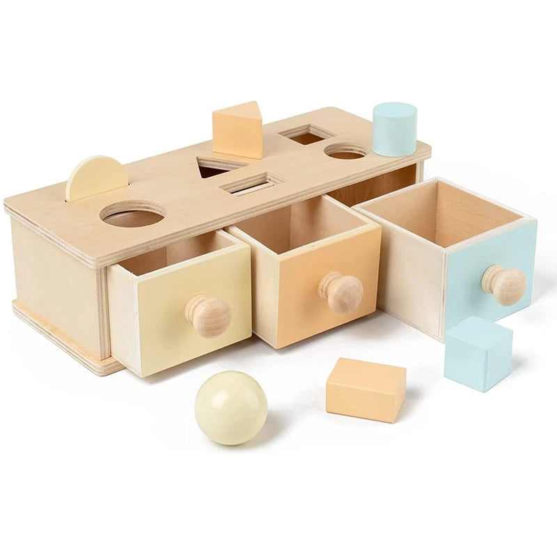 Montessori Wooden Learning Box
