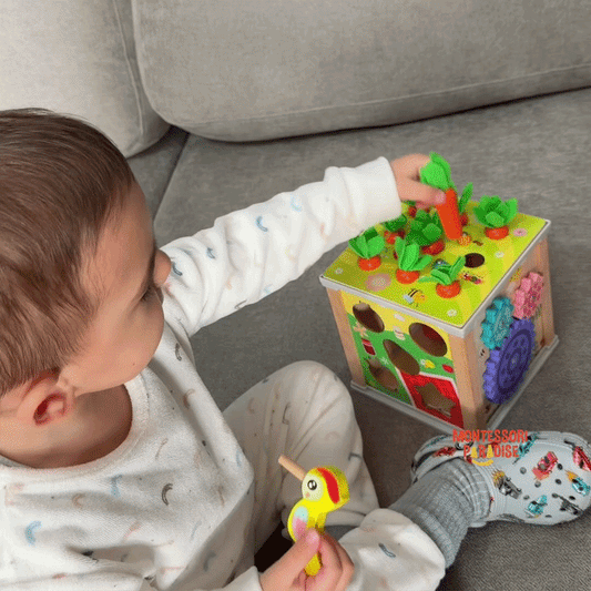 Montessori Discovery Box