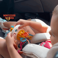 Montessori Sensory Pull Toy