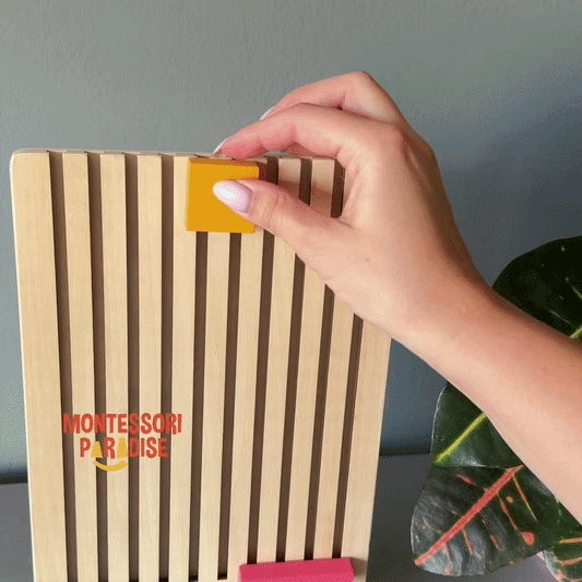 Montessori Logic Blocks